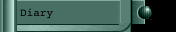 Diary